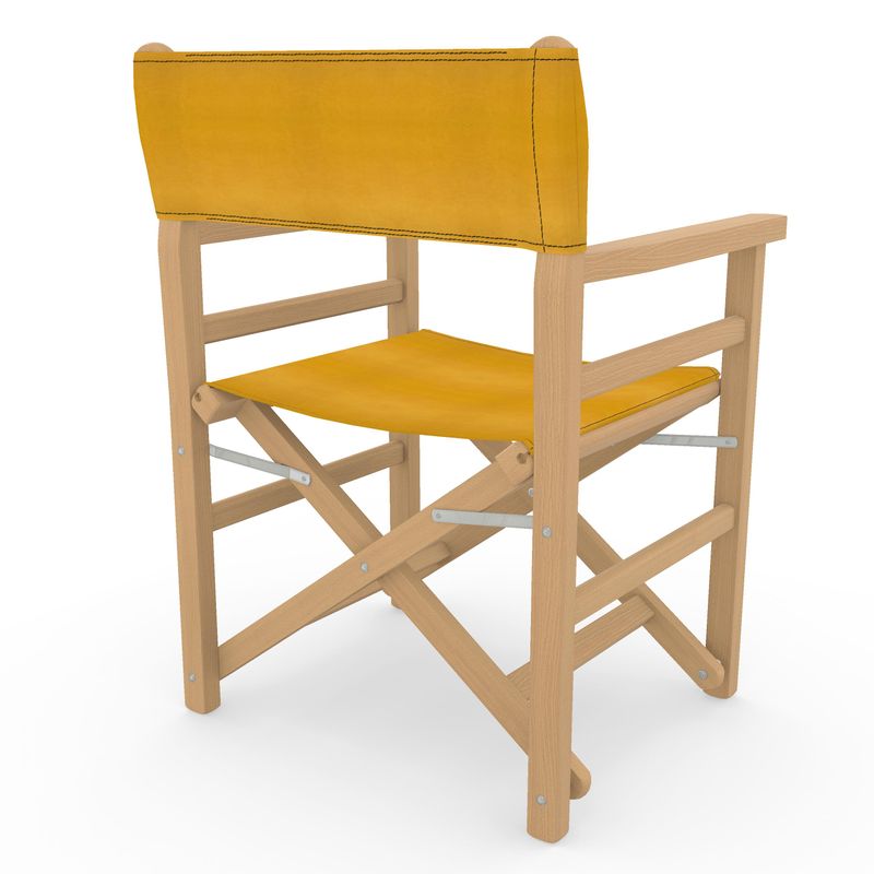 Outdoor Directors Chair