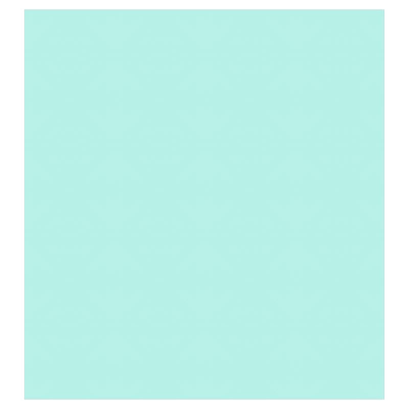 Curtains - 2 1/2'' Eyelets (Silver) / Interlined (3 layers)
