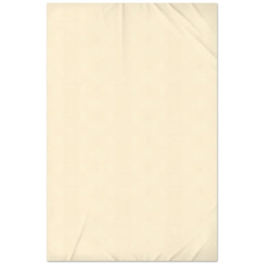 USA Flat Sheet - Twin (66" x 100") / No Pillowcase