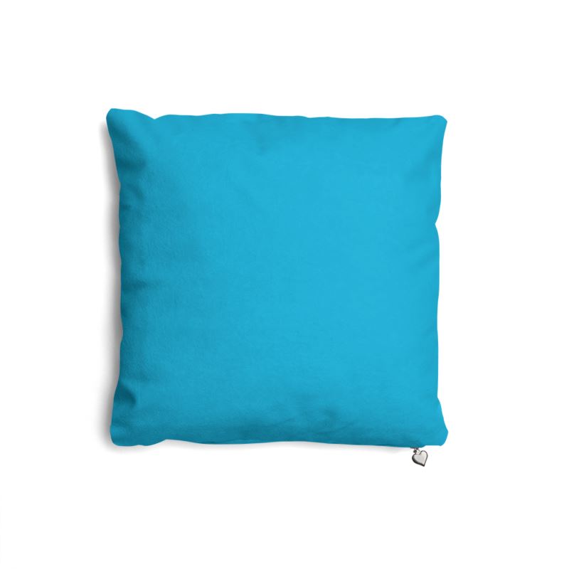 Pillows Set - Pack of 4 / Suede Vision / Feather Insert